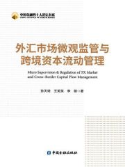 外汇市场微观监管与跨境资本流动管理（中国金融四十人论坛书系）