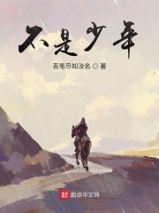 不是少年