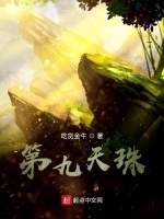 第九天珠最新章节在线阅读