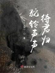 驼铃声声待君归在线阅读
