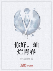 你好，灿烂青春在线阅读