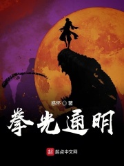 拳光通明在线阅读