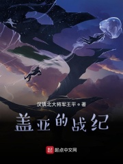 盖亚的战纪在线阅读