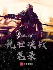 乱世决战笔录