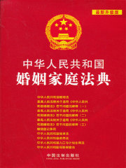 中华人民共和国婚姻家庭法典（2013年版）