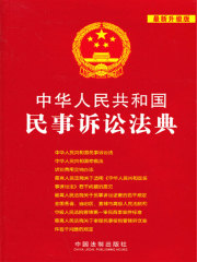 中华人民共和国民事诉讼法典（2013年版）