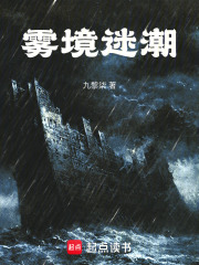 雾境迷潮在线阅读
