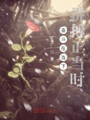 奋斗在当下拼搏正当时在线阅读