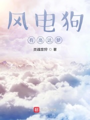 风电狗有高达梦在线阅读