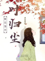 繁花落尽，叶归尘