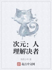 次元：人理解决者