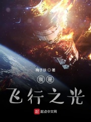 我是飞行之光在线阅读
