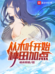 从木叶开始种田加点在线阅读