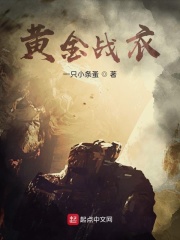 黄金战衣