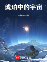 琥珀中的宇宙在线阅读