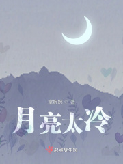月亮太冷在线阅读