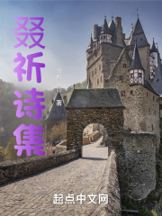 叕祈诗集在线阅读
