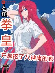 人在拳皇，开局挖了八神庵的家在线阅读