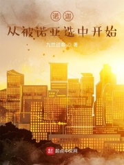 诺迦：从被诺亚选中开始
