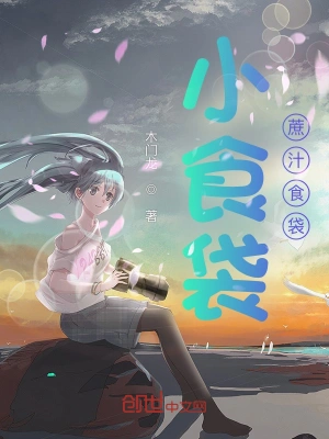 小食袋：蔗汁食袋