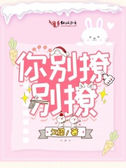 你别撩别撩在线阅读