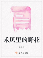 禾风里的野花
