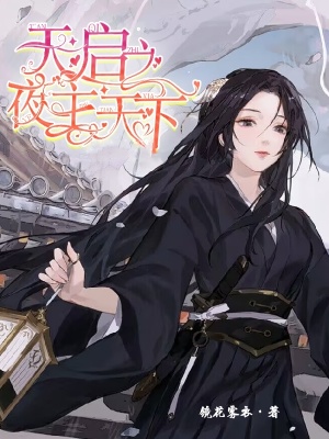 天启之夜主天下在线阅读
