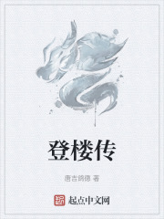 登楼传在线阅读