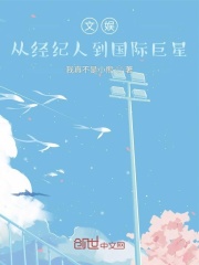 文娱：从经纪人到国际巨星在线阅读