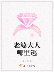 老婆大人哪里逃在线阅读