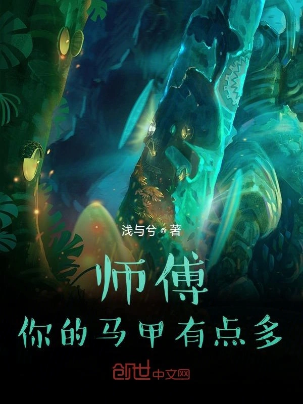 师傅，你的马甲有点多