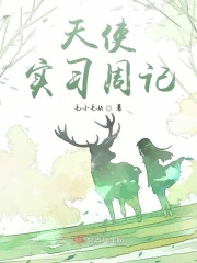 天使实习周记在线阅读