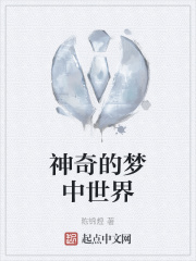 神奇的梦中世界在线阅读