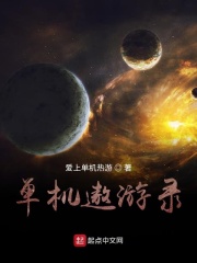 单机遨游录在线阅读