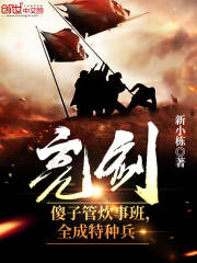 亮剑：傻子管炊事班，全成特种兵在线阅读
