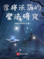 霍格沃茨的魔法研究在线阅读