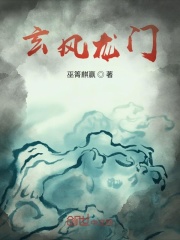 玄风龙门在线阅读
