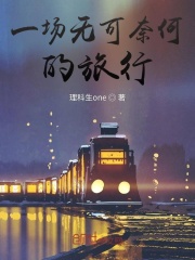 一场无可奈何的旅行