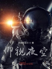 仰视夜空在线阅读