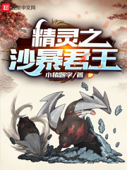精灵之沙暴君王在线阅读