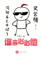 谁来治治他封面