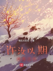 泛着微光在线阅读