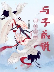 三生三世与子成说