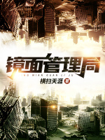 镜面管理局最新章节在线阅读