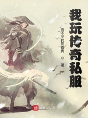 我玩传奇私服在线阅读