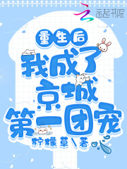 重生后，我成了京城第一团宠