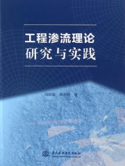 工程渗流理论研究与实践