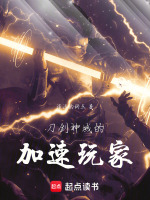 刀剑神域的加速玩家封面