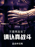 不要再发呆了，请认真战斗！！！封面