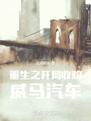 重生之开局收购威马汽车
